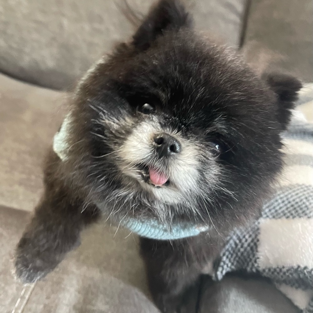 Meet your Posher, what-the-sell!